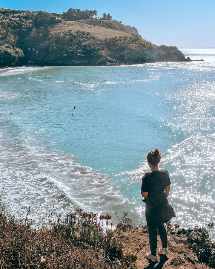 View of Taylor's Mistake Beach from the Godley Head Loop Track