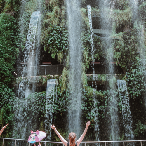 Cloud Forest, Singapore