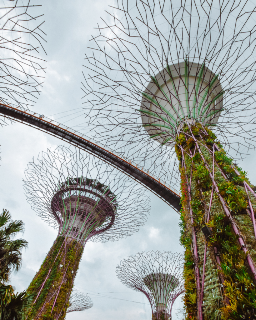 An Eco-Economic Success Story: Singapore As Inspiration For A Greener ...