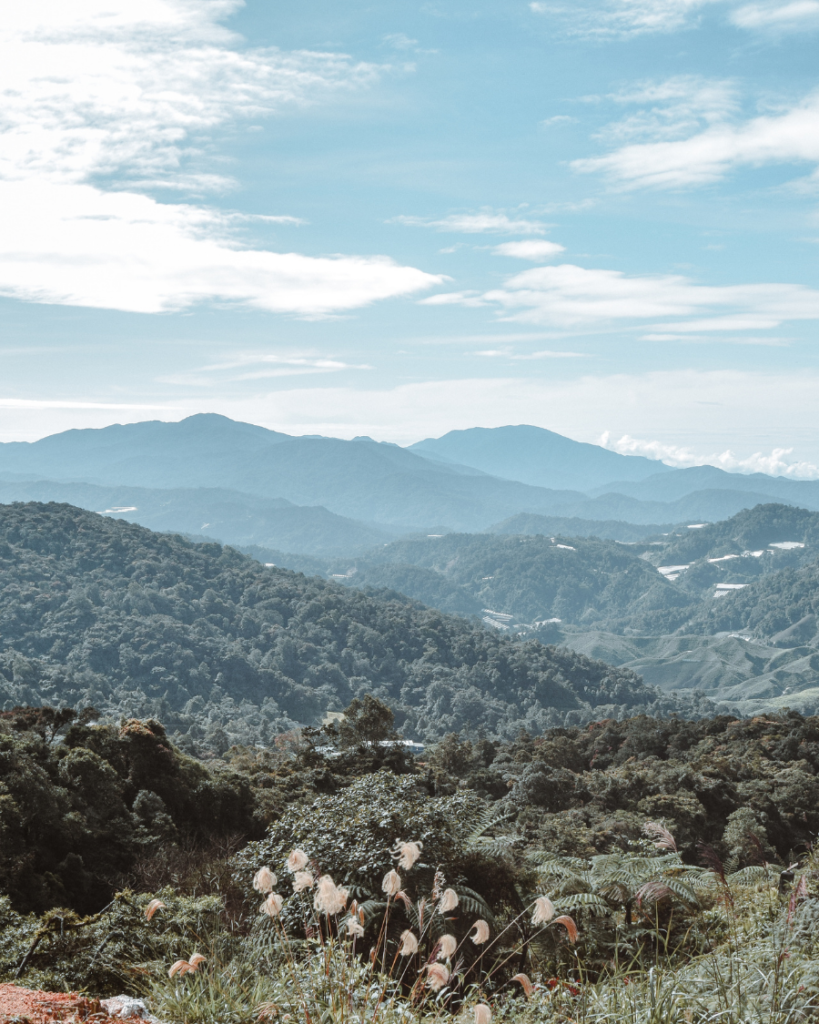 Cameron Highlands, Malaysia