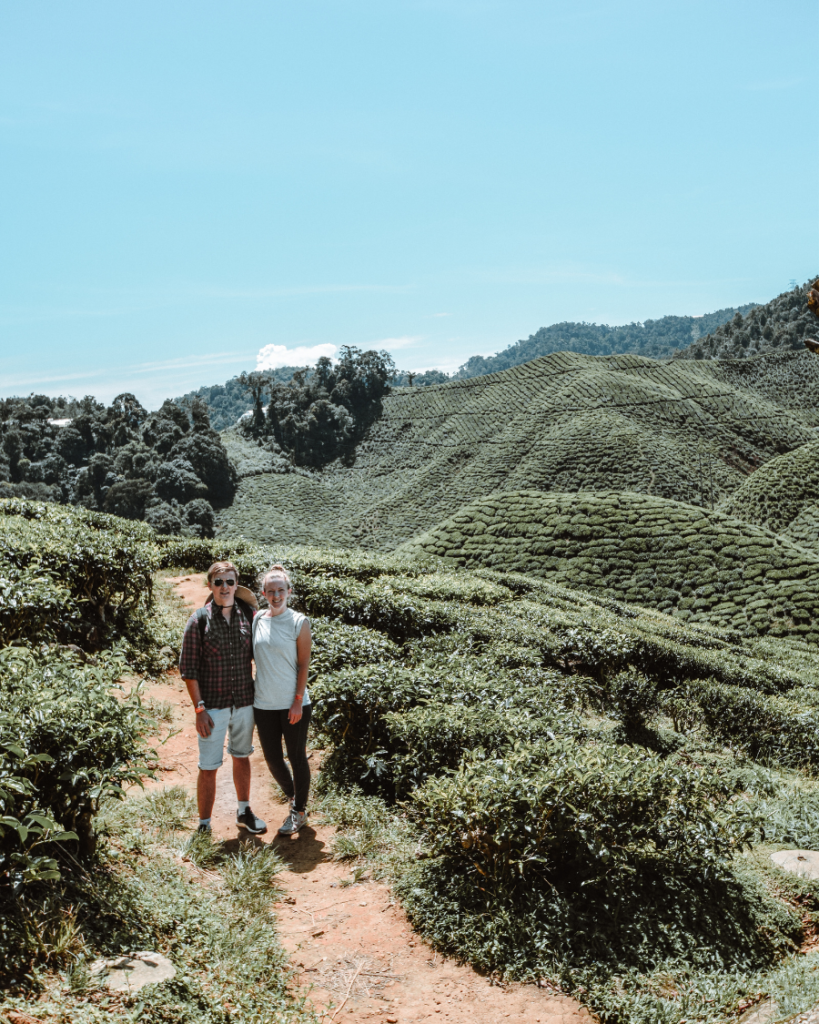 Cameron Highlands, Malaysia