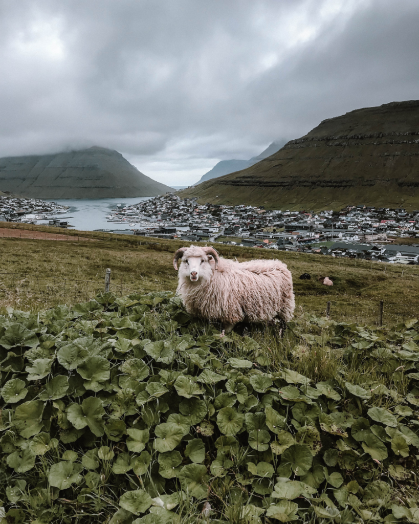 Klaksvik, Faroe Islands