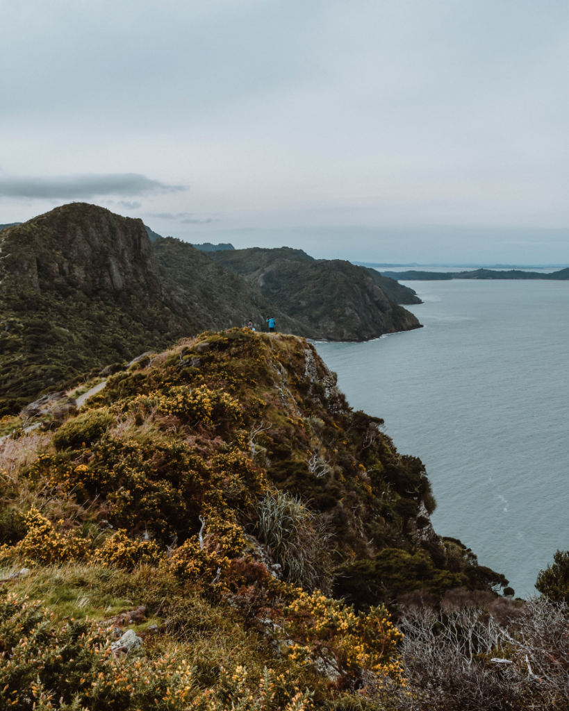 Omanawanui Track, New Zealand