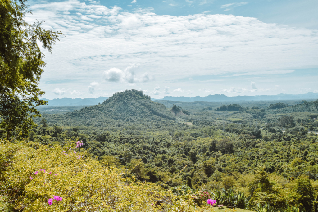 Khao Sok National Park