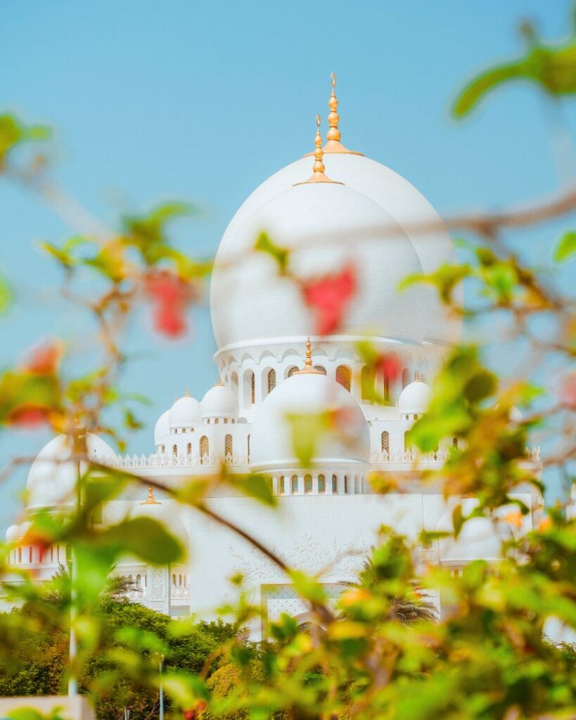 Visit Sheikh Zayed Grand Mosque