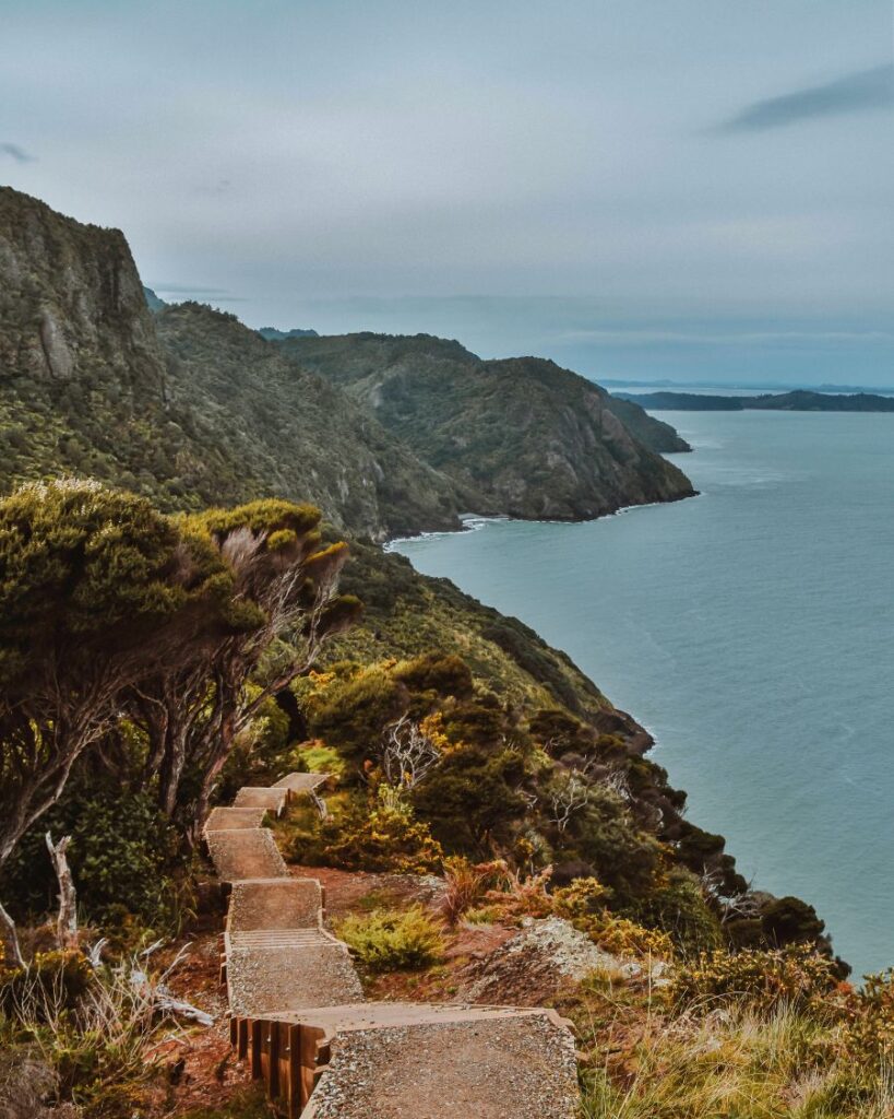 Omanawanui Track, Auckland, New Zealand