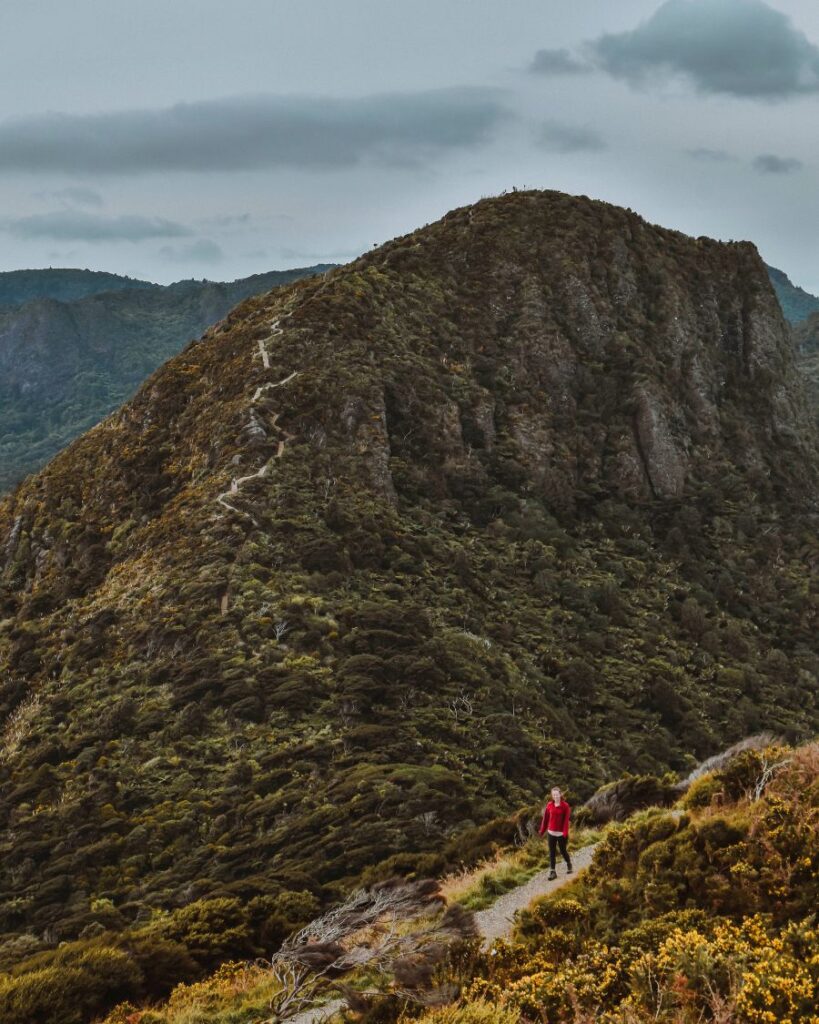 Omanawanui Track, Auckland, New Zealand