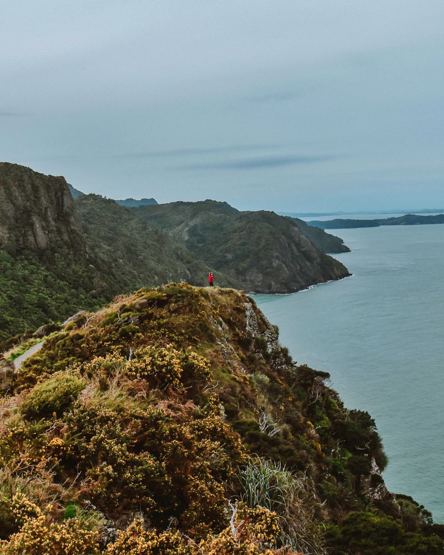 Omanawanui Track, Auckland, New Zealand