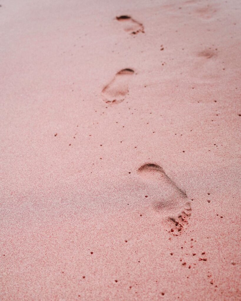 Pink Beach, Komodo National Park, Indonesia 