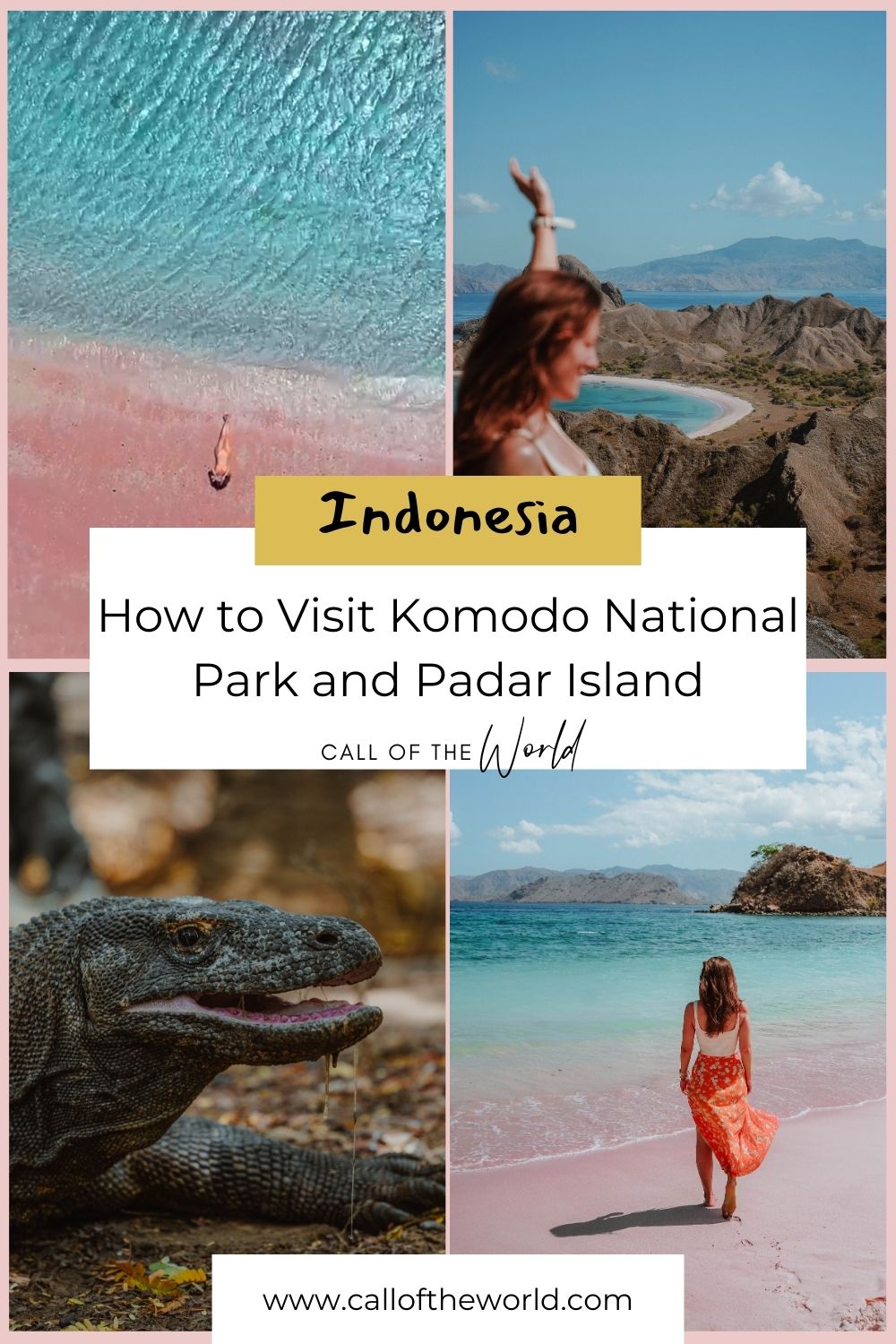 How to Visit Komodo National Park and Padar Island