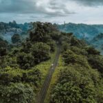 Campuhan Ridge Walk, Ubud, Bali