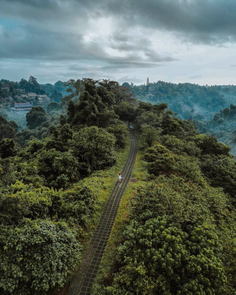 Campuhan Ridge Walk, Ubud, Bali