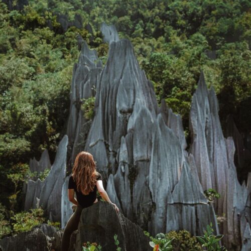 How to Hike the Mulu Pinnacles, Borneo