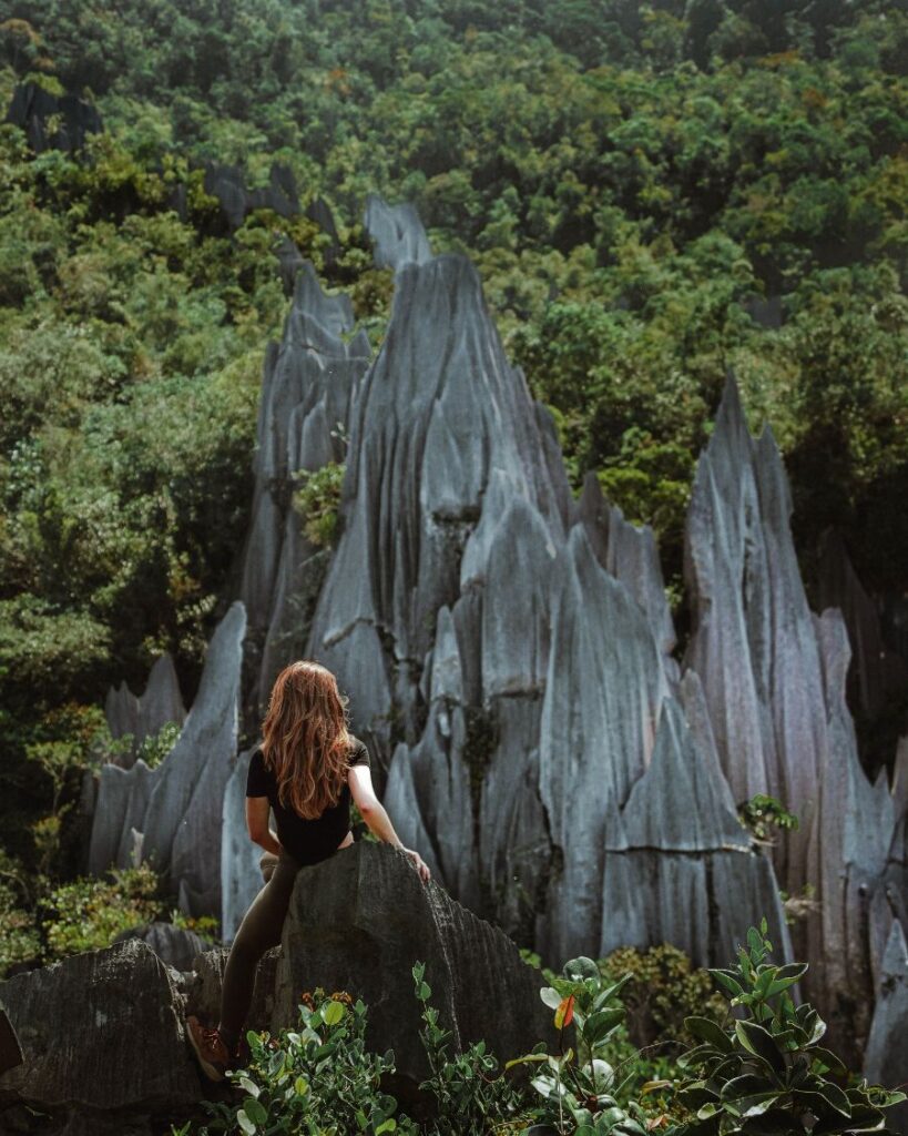 How to Hike the Mulu Pinnacles, Borneo. How to Spend 3 Weeks in Borneo: Epic Itinerary.