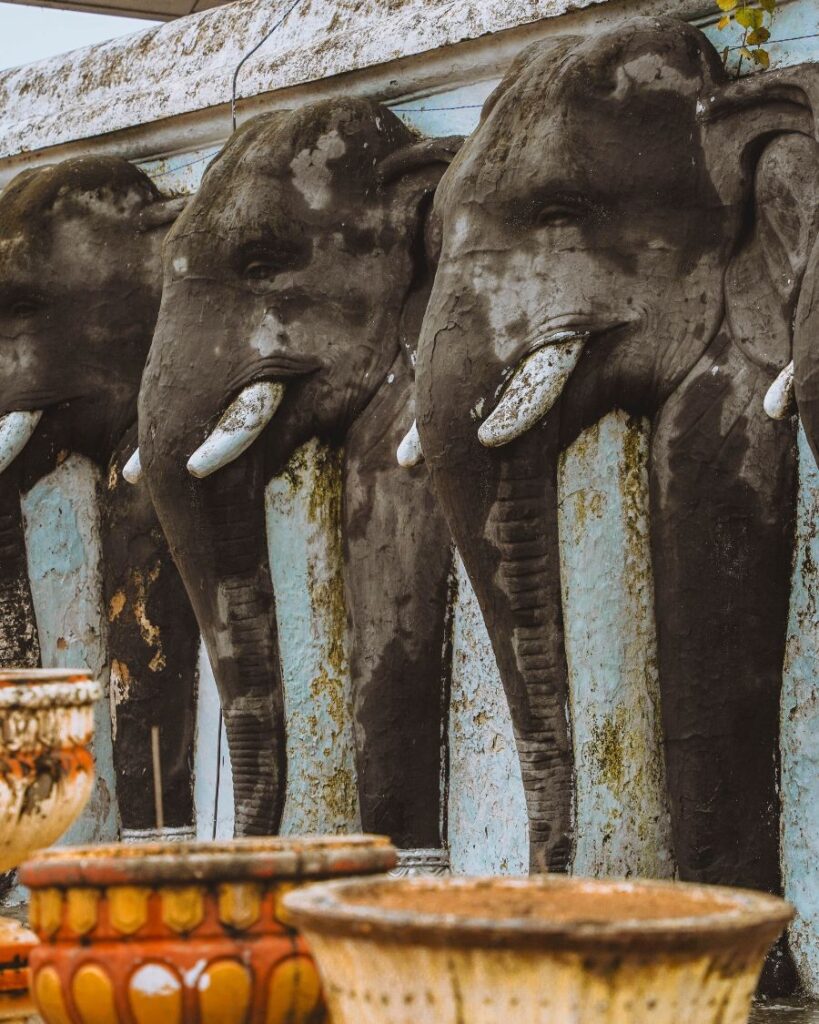 How to Visit Anuradhapura Sacred City, Sri Lanka