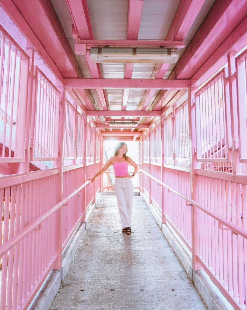 Shek Lei Estate Footbridge Pink Photo Spots in Hong Kong You Must Visit